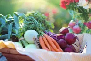 photo of a basket full of vegetables 