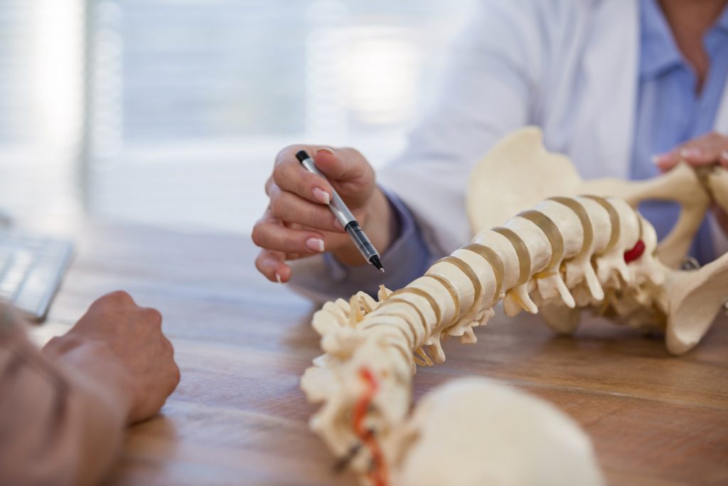 chiropractor showing patient a model of the spine 