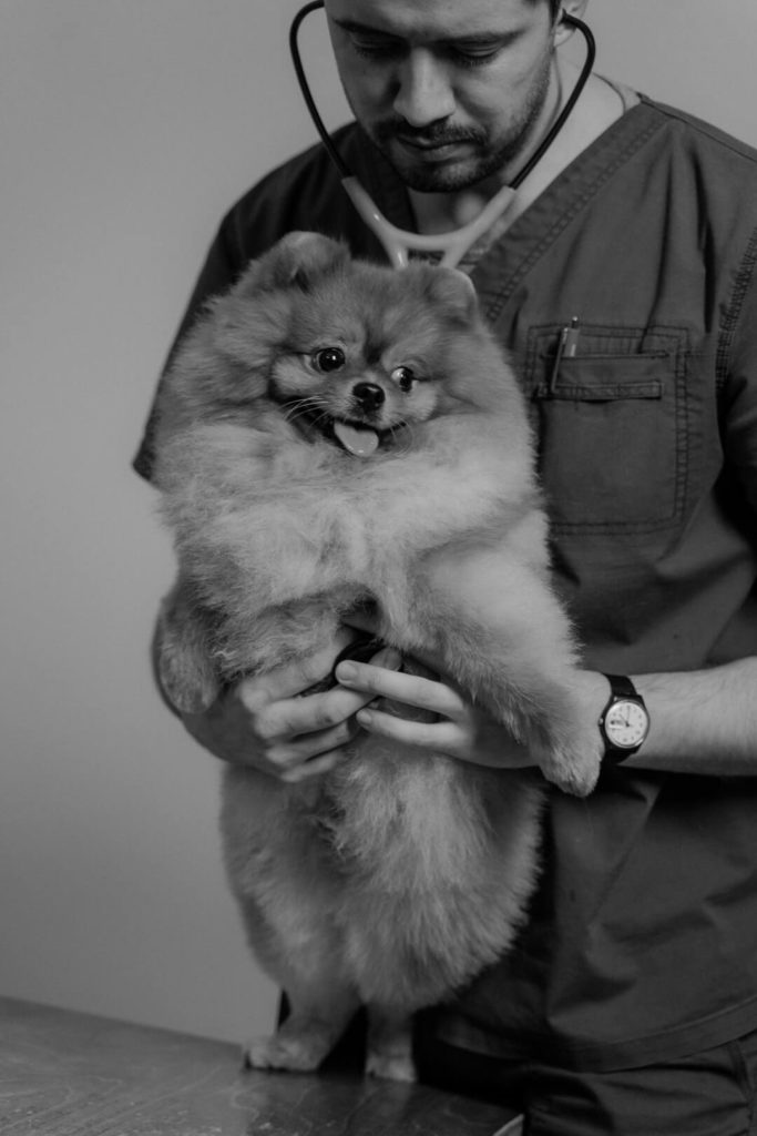 Doctor holding a pet dog
