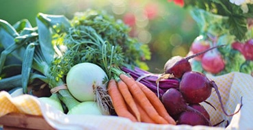 different kinds of vegetables on a basket